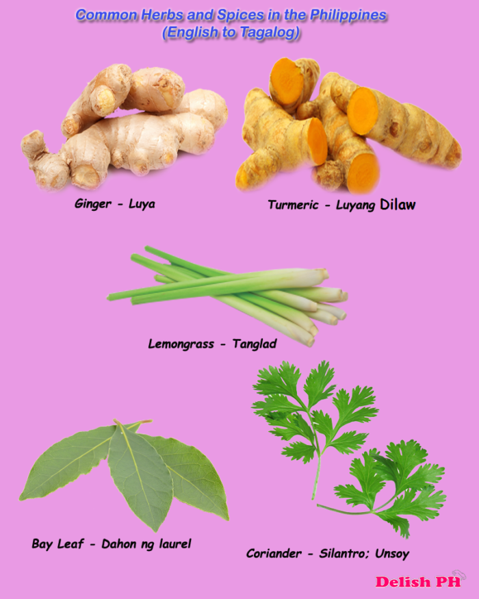 Common Herbs and Spices in the Philippines (English to Tagalog)